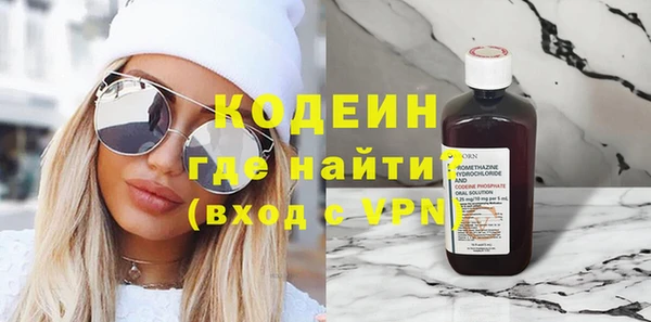 прущие грибы Лабытнанги