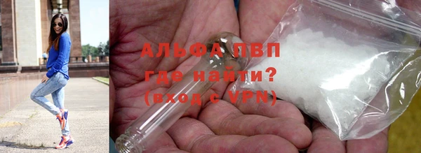 прущие грибы Лабытнанги