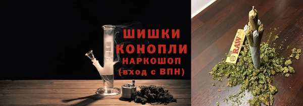 прущие грибы Лабытнанги