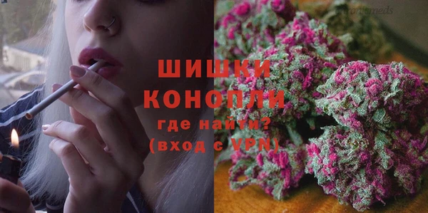 прущие грибы Лабытнанги