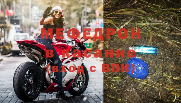 прущие грибы Лабытнанги