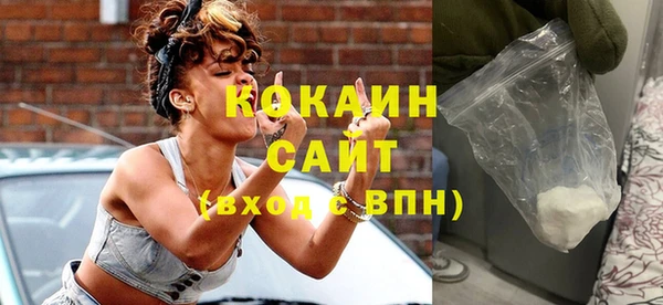 прущие грибы Лабытнанги