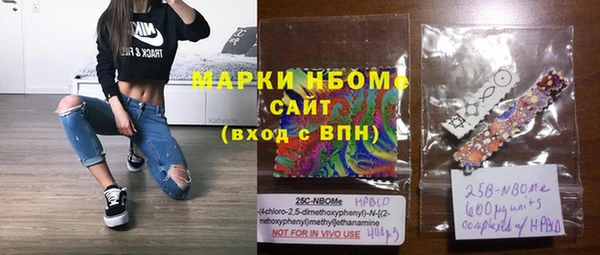 прущие грибы Лабытнанги