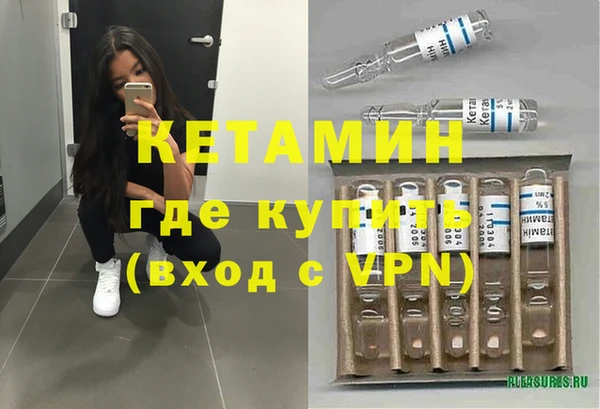прущие грибы Лабытнанги