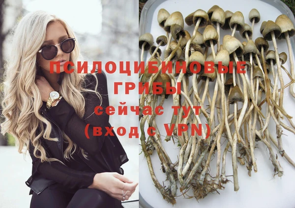 прущие грибы Лабытнанги