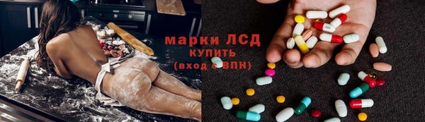 прущие грибы Лабытнанги