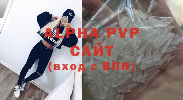 прущие грибы Лабытнанги