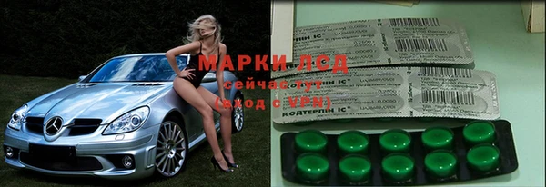 прущие грибы Лабытнанги