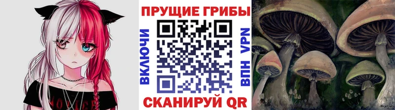 Галлюциногенные грибы ЛСД  kraken онион  Новомосковск 