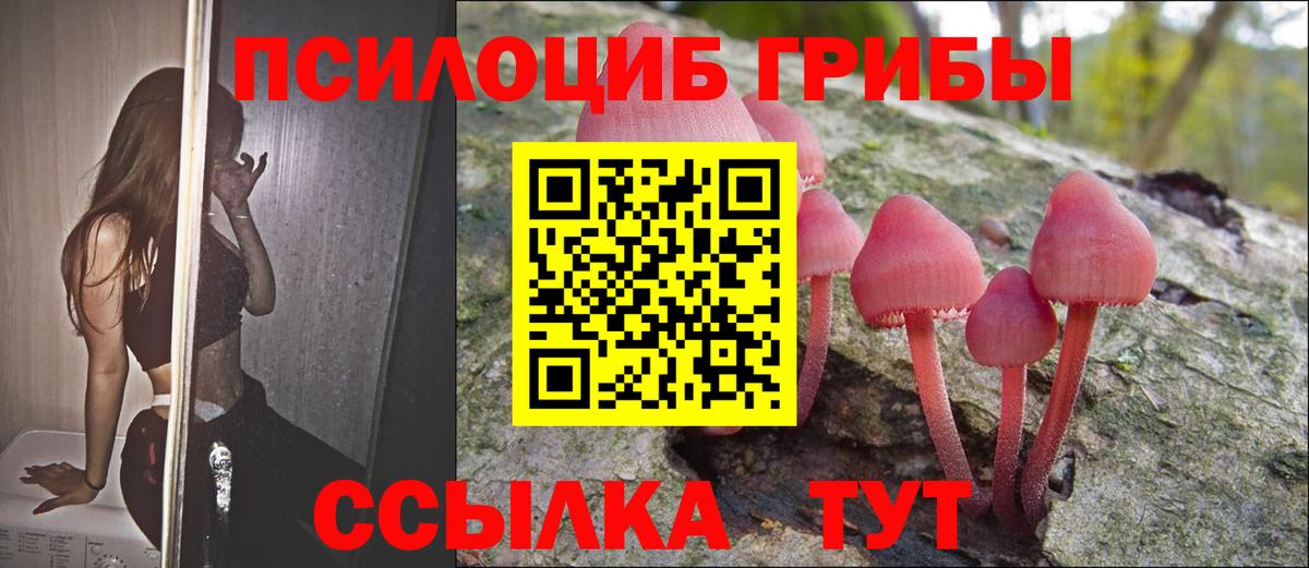 Галлюциногенные грибы MAGIC MUSHROOMS Новомосковск
