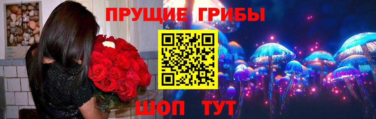 Псилоцибиновые грибы ЛСД  Галлюциногенные грибы Magic Shrooms  Вход с VPN  Новомосковск 