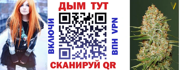 наркотики  Новомосковск  Бошки марихуана сатива 